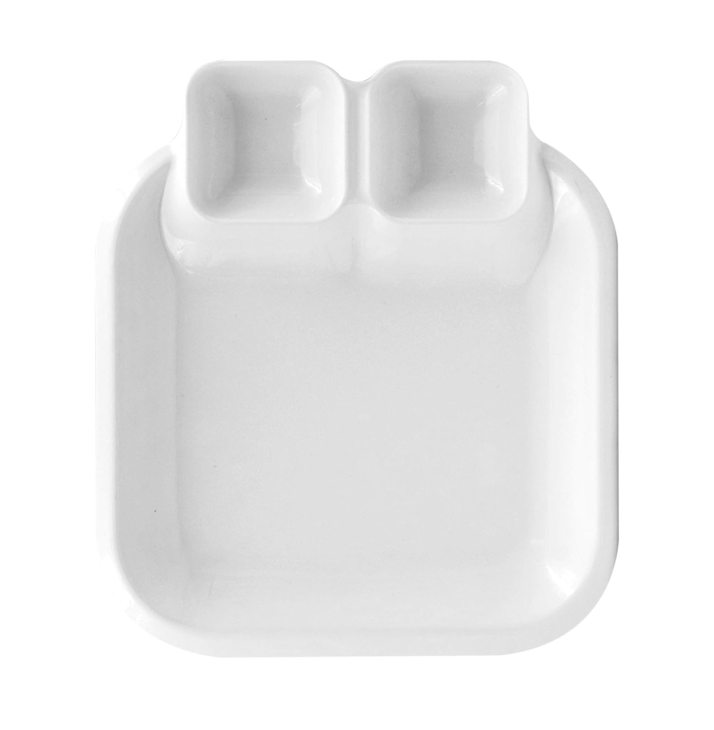 Chip and Dip Square Melamine Plate